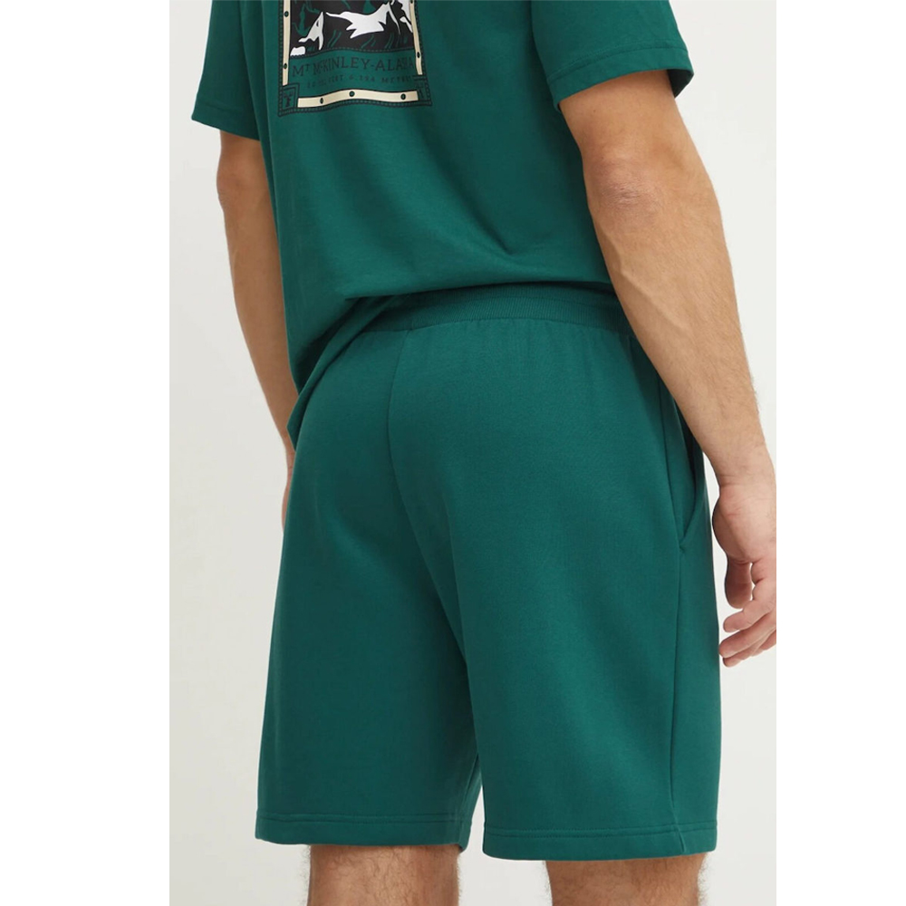 THE NORTHFACE Box Nse Regular Short Ανδρική Βερμούδα  - 2