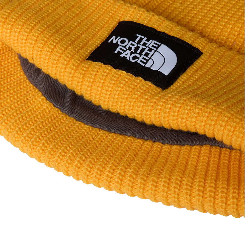 THE NORTH FACE Salty Lined Beanie Unisex Σκούφος - 2