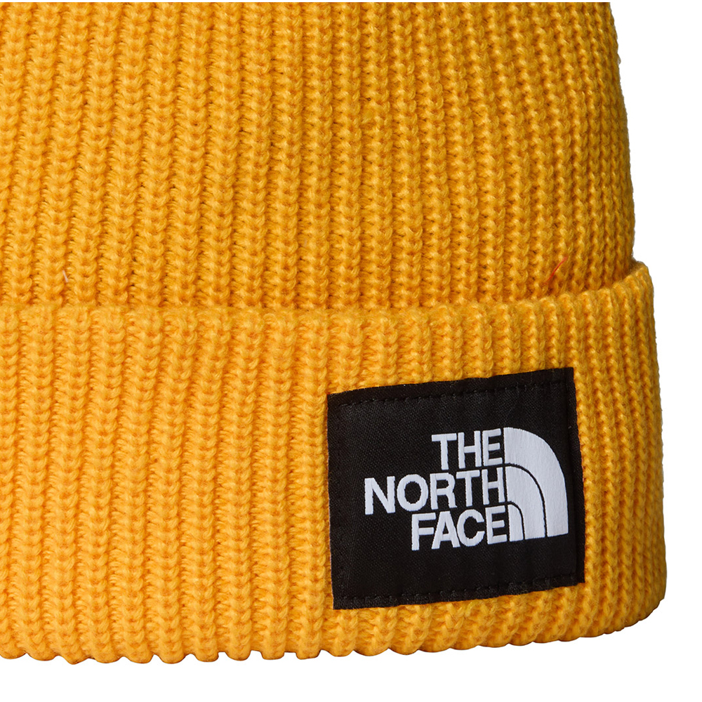 THE NORTH FACE Salty Lined Beanie Unisex Σκούφος - 3