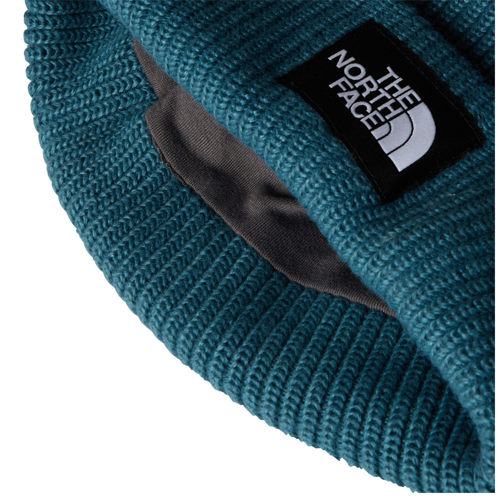 THE NORTH FACE Salty Lined Beanie Unisex Σκούφος - 2
