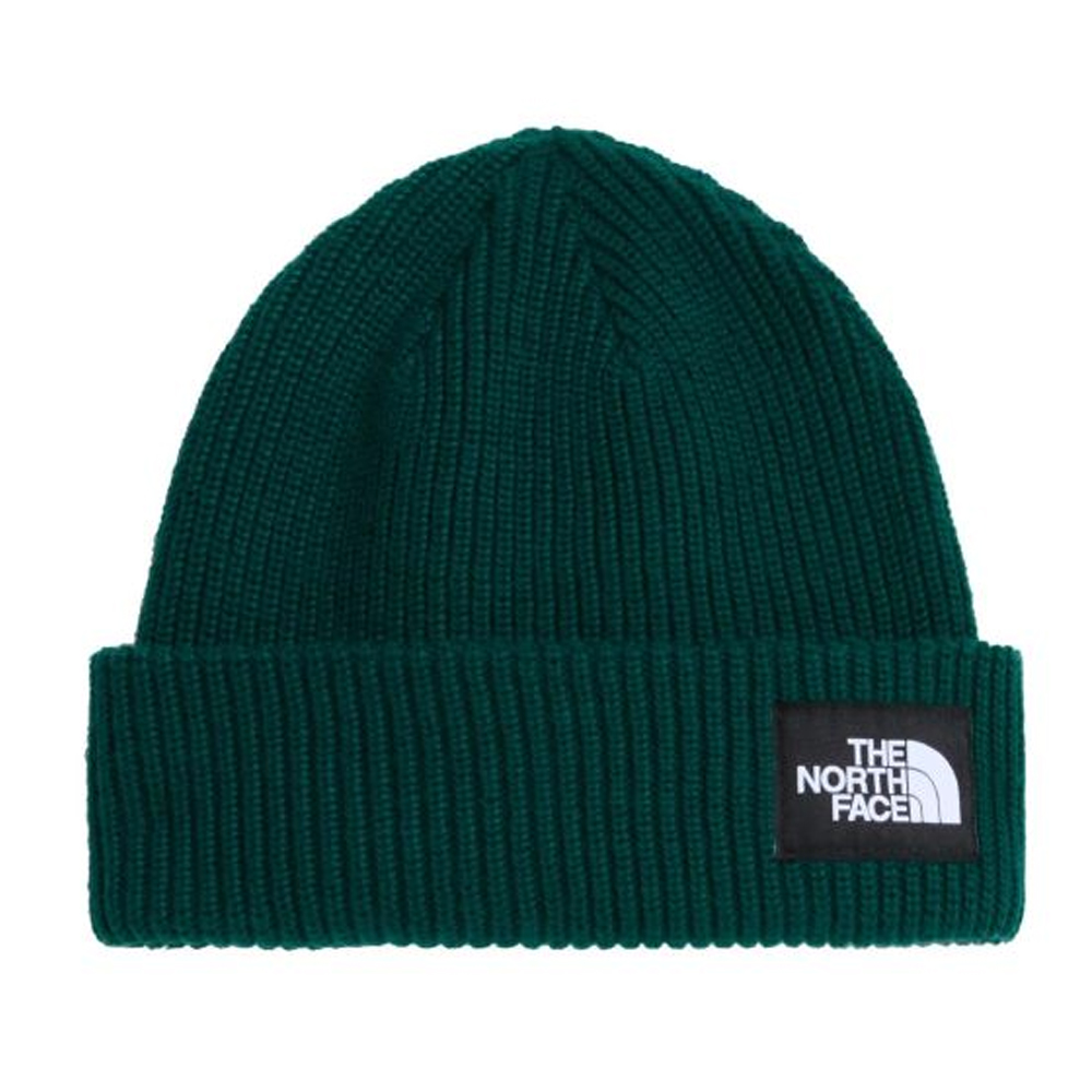 THE NORTHFACE Salty Lined  Beanie Unisex Σκούφος - Πράσινο