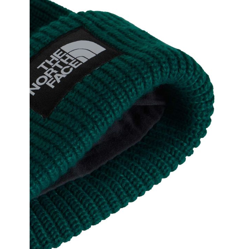 THE NORTHFACE Salty Lined  Beanie Unisex Σκούφος - 2