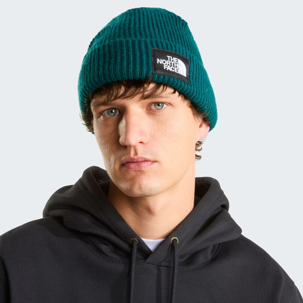 THE NORTHFACE Salty Lined  Beanie Unisex Σκούφος - 3