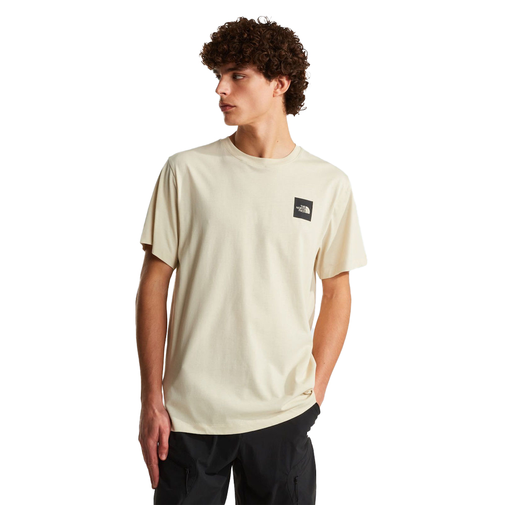 THE NORTHFACE Evolution Box Half Dome Regular T-Shirt Ανδρικό T-Shirt - Μπεζ