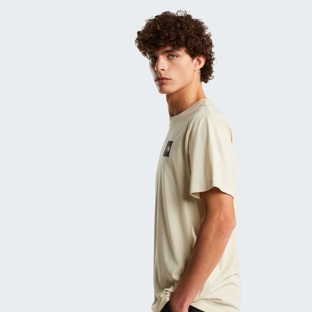 THE NORTHFACE Evolution Box Half Dome Regular T-Shirt Ανδρικό T-Shirt - 3