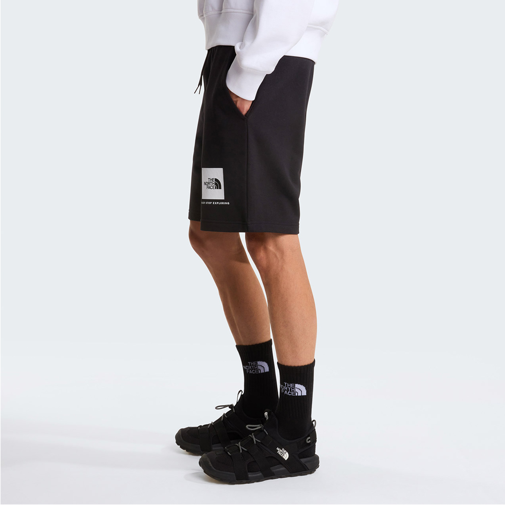THE NORTHFACE Box Regular Short Ανδρική Βερμούδα - 3