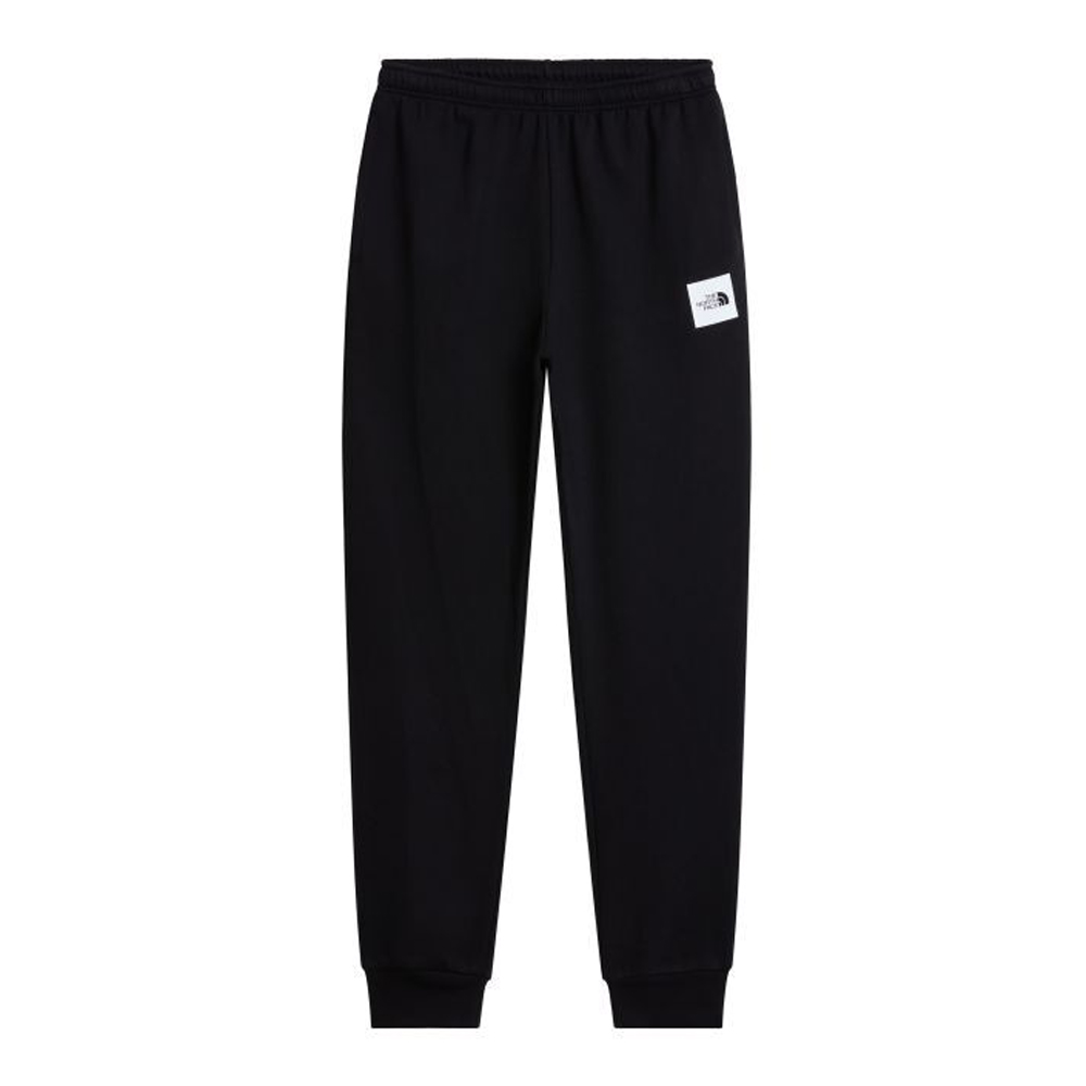 THE NORTHFACE Evolution Box Half Dome Regular Tapered Joggers Ανδρικό Παντελόνι Φόρμας - 3