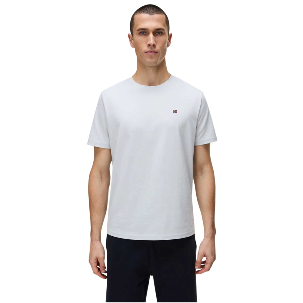 NAPAPIJRI Salis Short Sleeve Sum Ανδρικό T-Shirt - Γκρι