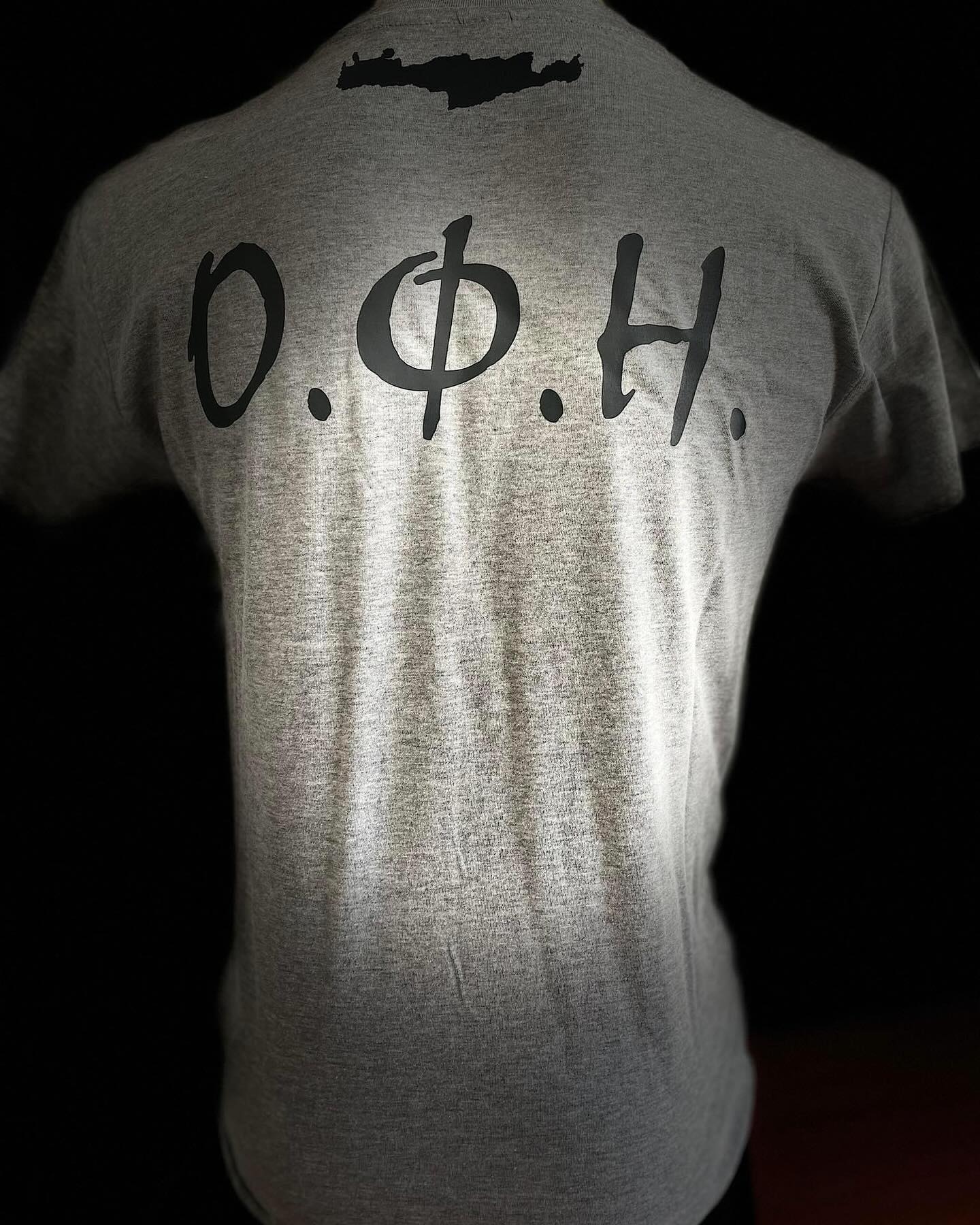 T SHIRT ΓΚΡΙ ΟΦΗ ΚΡΗΤΗ - 2