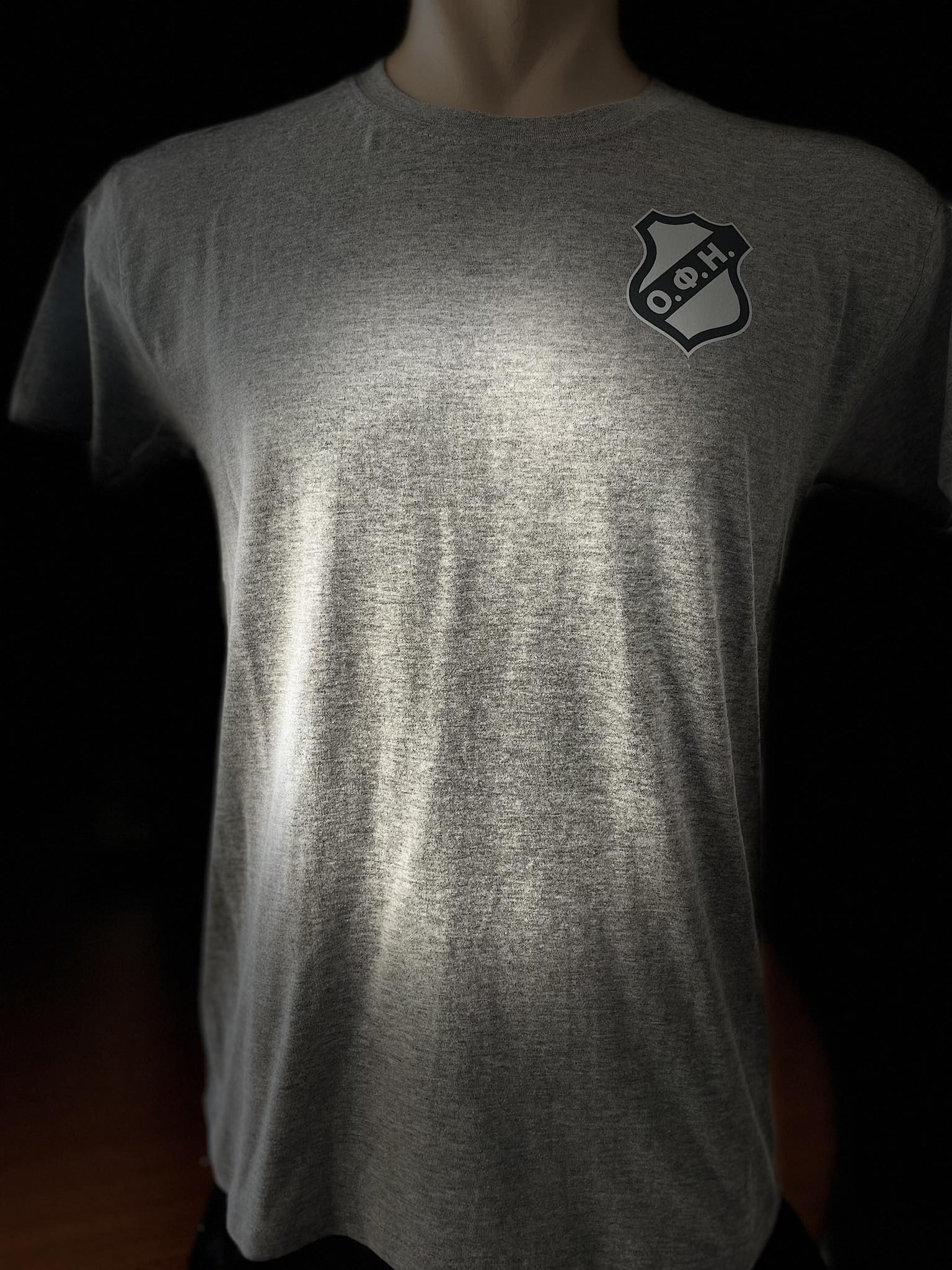 T SHIRT ΓΚΡΙ ΟΦΗ ΚΡΗΤΗ - 4XS