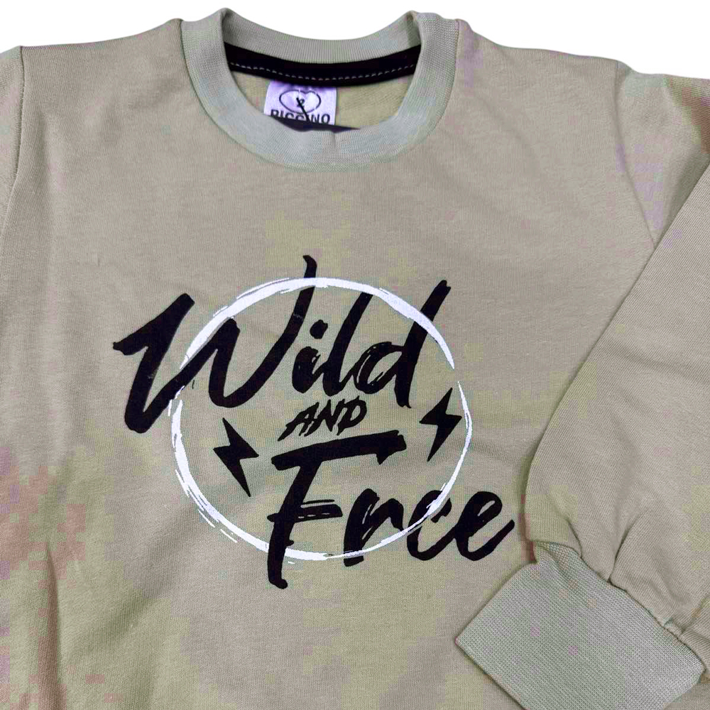 Σετ με φόρμα PICCINO αγόρι - 2