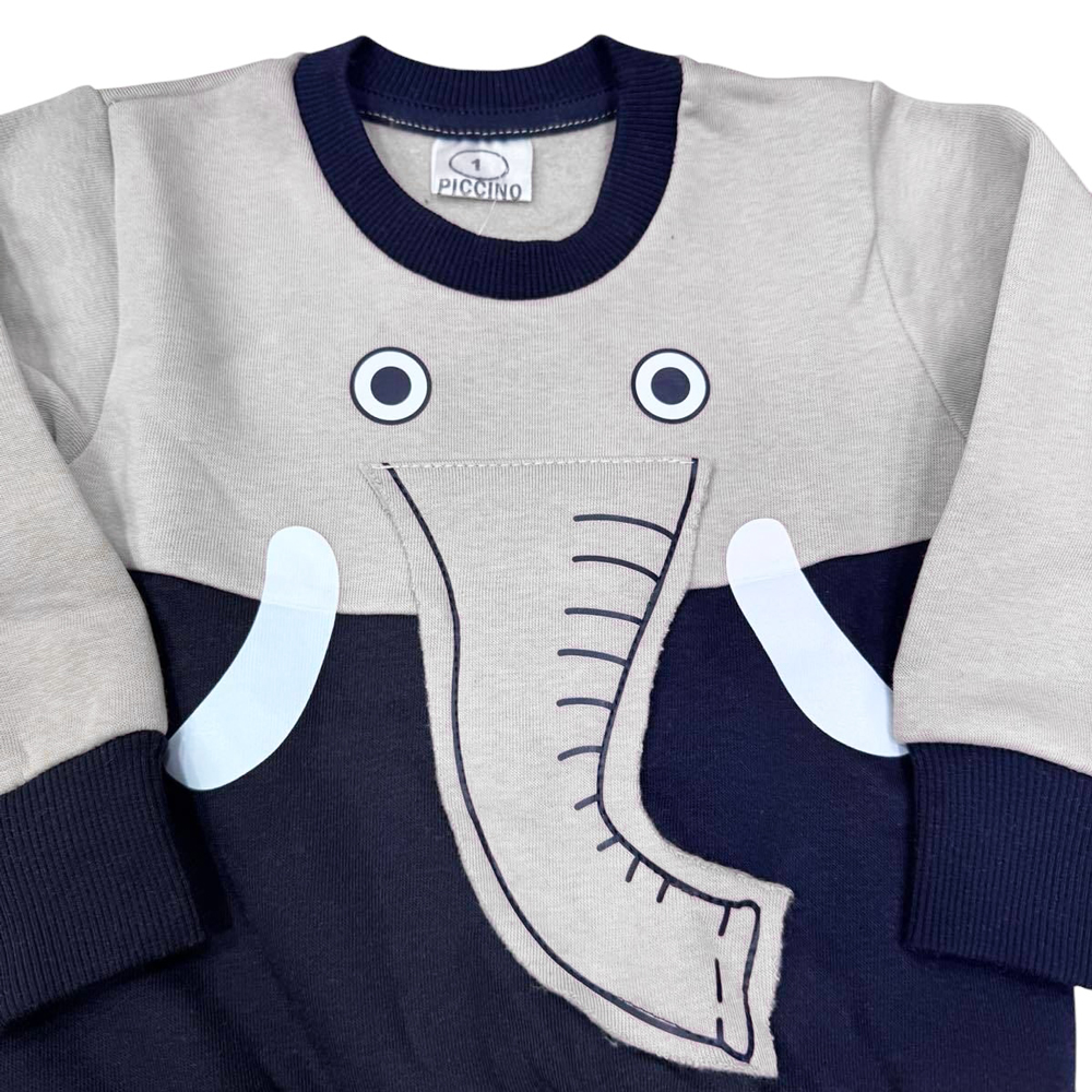 Σετ με φόρμα PICCINO αγόρι - 2