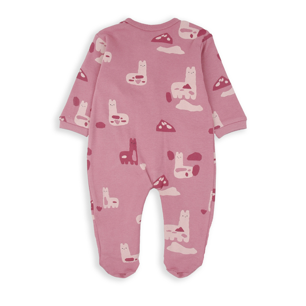 Βρεφικό ολόσωμο φορμάκι BABYBOL κορίτσι - 2