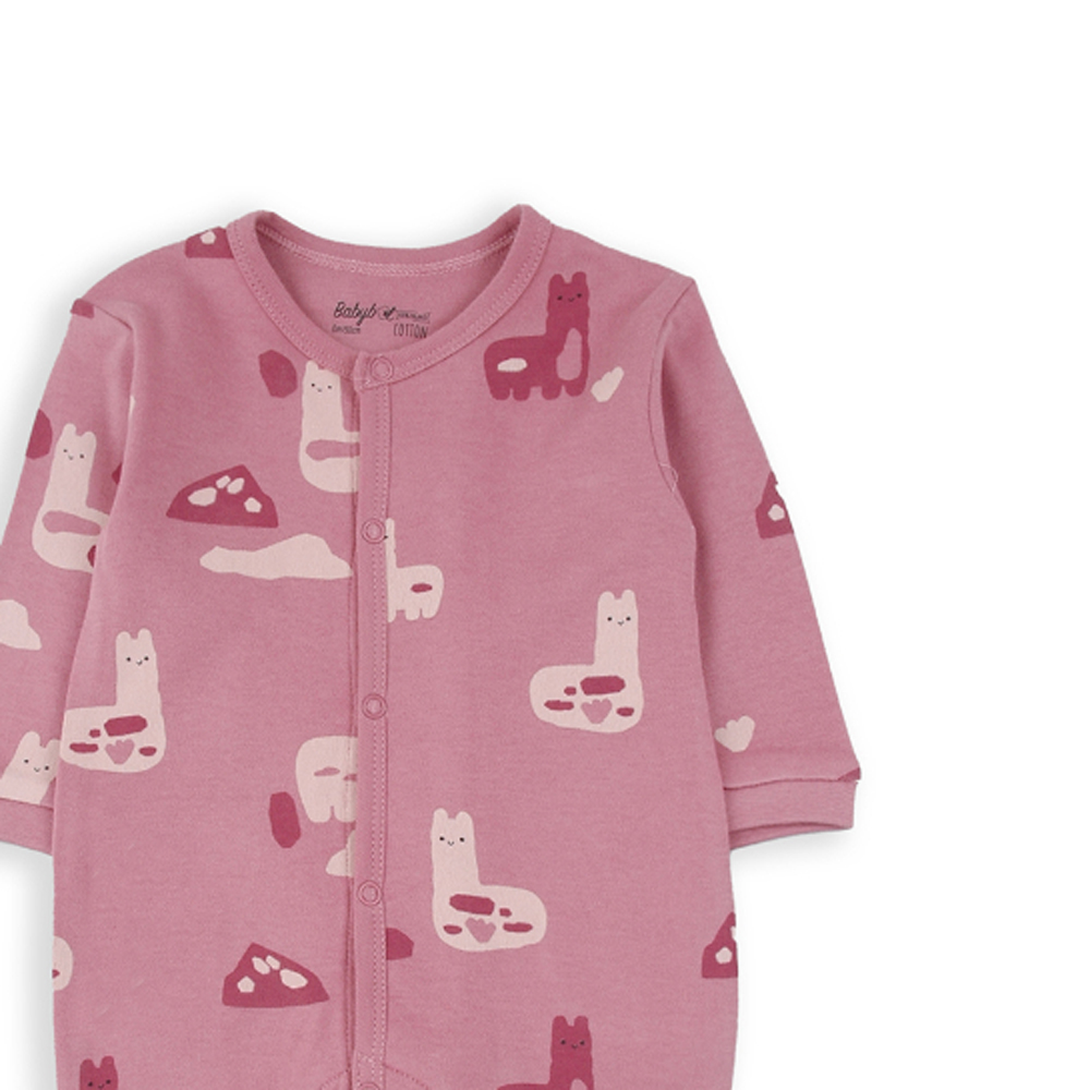 Βρεφικό ολόσωμο φορμάκι BABYBOL κορίτσι - 3