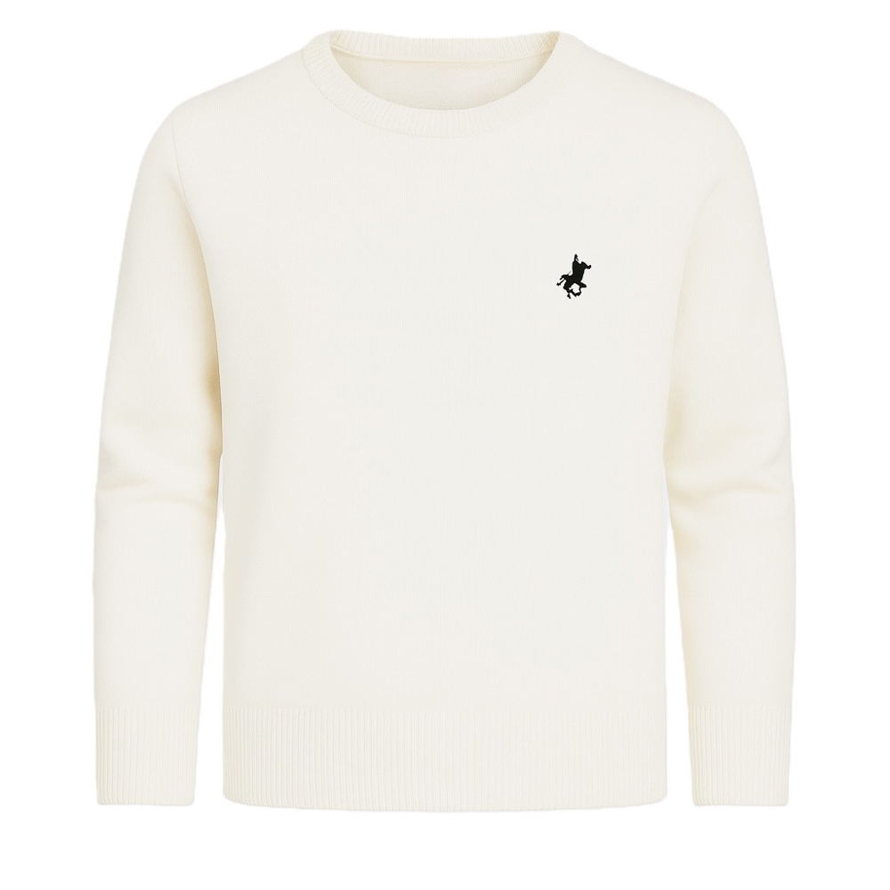 Παιδική πλεκτή μπλούζα US POLO αγόρι - OFF WHITE