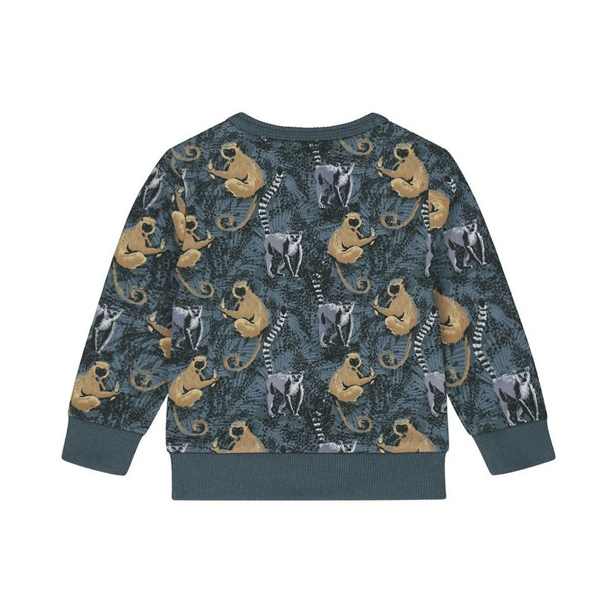 Παιδική μπλούζα DIRKJE αγόρι - 2