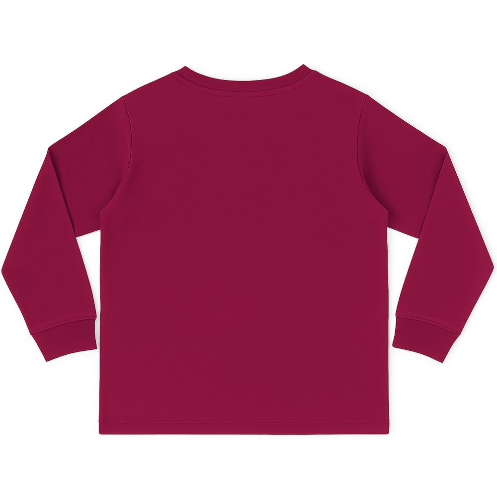 Μπλούζα εποχής US POLO - 2