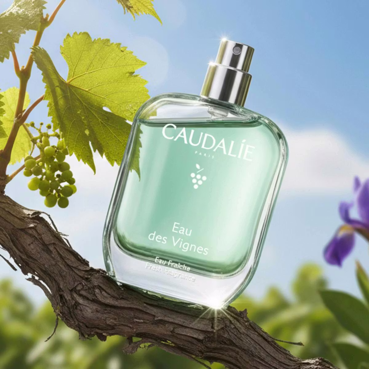 CAUDALIE Eau des Vignes Fraiche Fragrance-Γυναικείο Άρωμα 50ML - 2