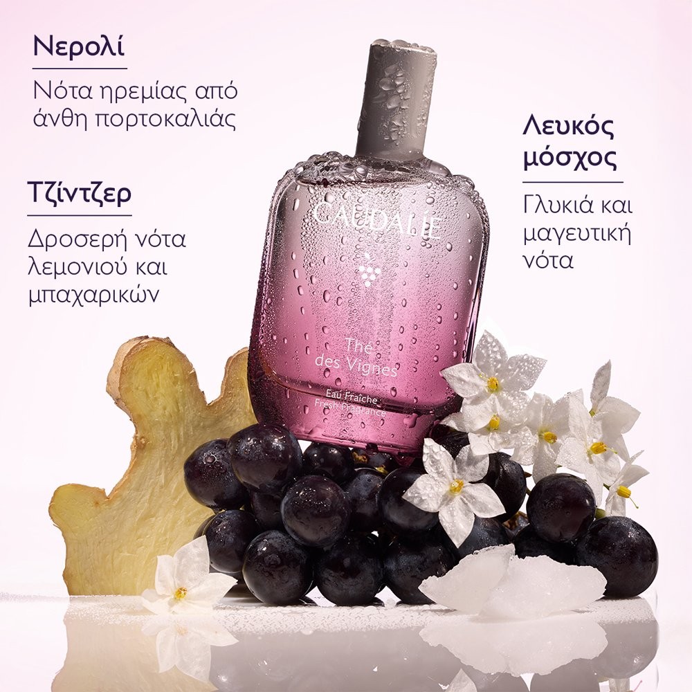 Caudalie Fresh Fragrance The des Vignes Γυναικείο Άρωμα, 50ml - 4