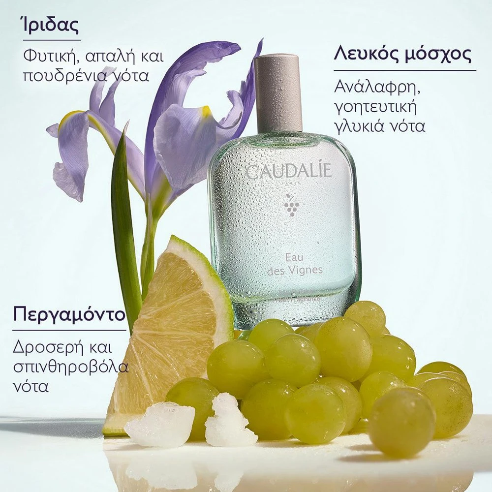 CAUDALIE Eau des Vignes Fraiche Fragrance-Γυναικείο Άρωμα 50ML - 3