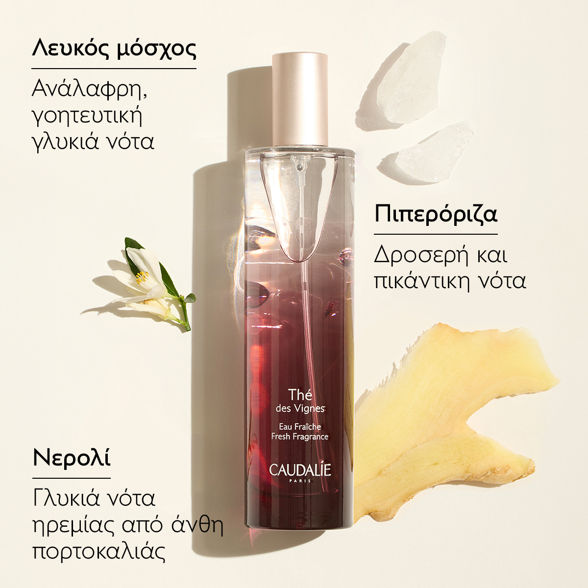 Caudalie The Des Vignes Xmas Promo Fresh Fragrance Γυναικείο Άρωμα, 50ml, Δώρο Shower Gel Αφρόλουτρο Σώματος, 50ml & Hand & Nail Repairing Cream Ενυδατική Κρέμα Χεριών & Νυχιών, 30ml, 1σετ - 2
