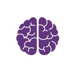 EVIOL BRAIN FUNCTION 30caps - 2