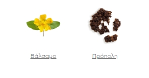 APIVITA LIP CARE PROPOLIS - 3