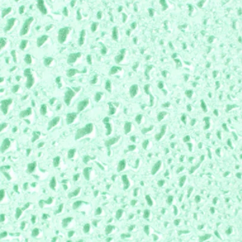 NUXE ΑΡΩΜΑ PRODIGIEUX NEROLI 50ml - 2