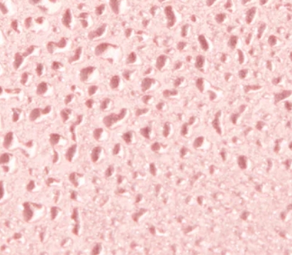 NUXE ΑΡΩΜΑ PRODIGIEUX FLORAL 50ml - 2