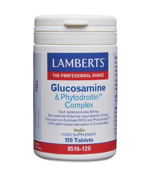 LAMBERTS GLUCOSAMINE & PHYTODROITIN COMPLEX 120tab  - 