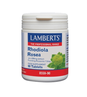 LAMBERTS RHODIOLA ROSEA 90tab - 