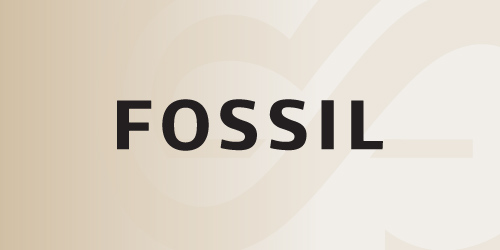 Fossil