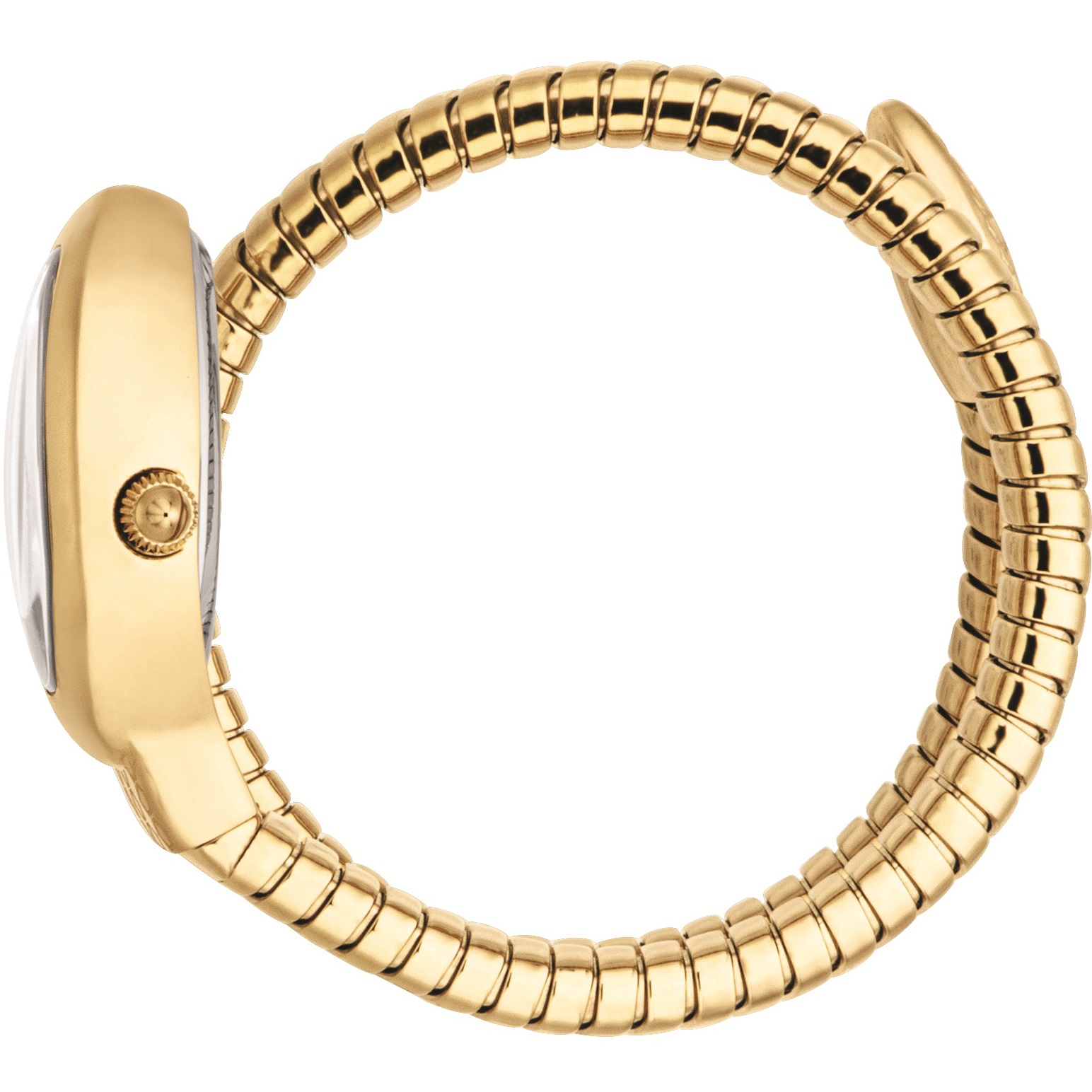 JUST CAVALLI Signature Snake Silver Dial 22x33.5mm Gold Stainless Steel Bracelet JC1L371M0025 - 