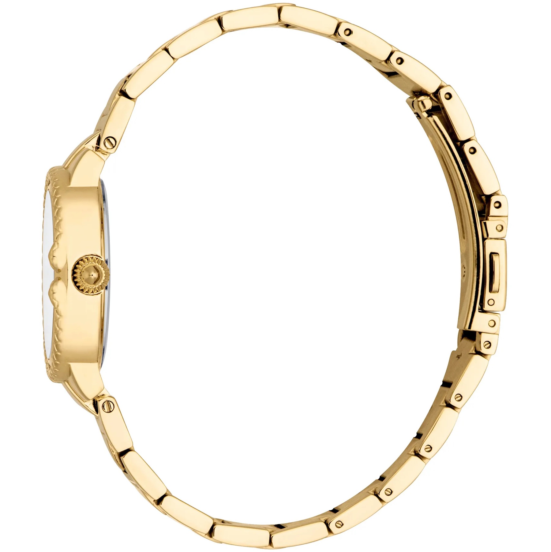 JUST CAVALLI Snake Gift Set Silver Dial 30mm Gold Stainless Bracelet JC1L378M0045 - 3