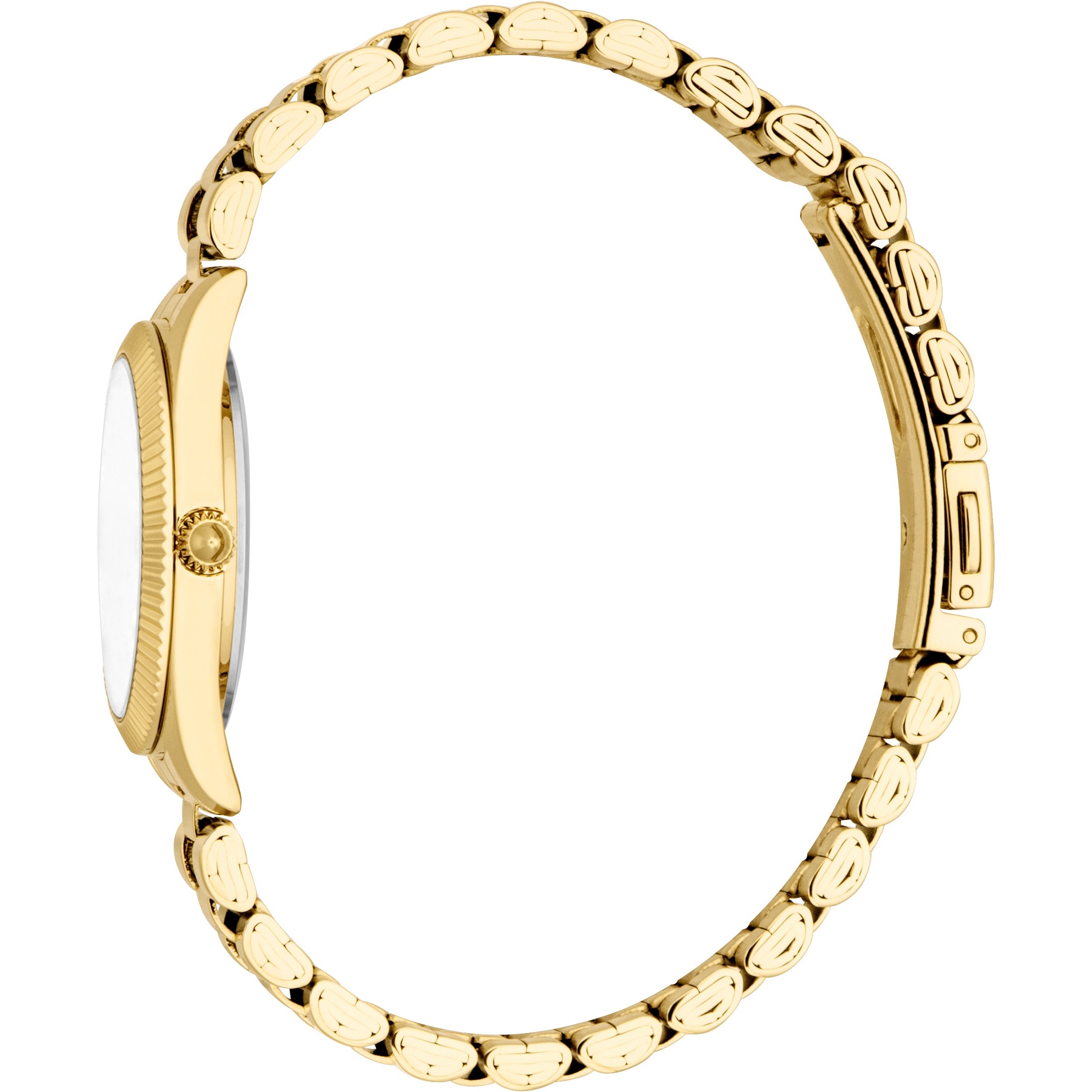 JUST CAVALLI Animalier Silver Dial 30mm Gold Stainless Steel Bracelet JC1L388M0065 - 