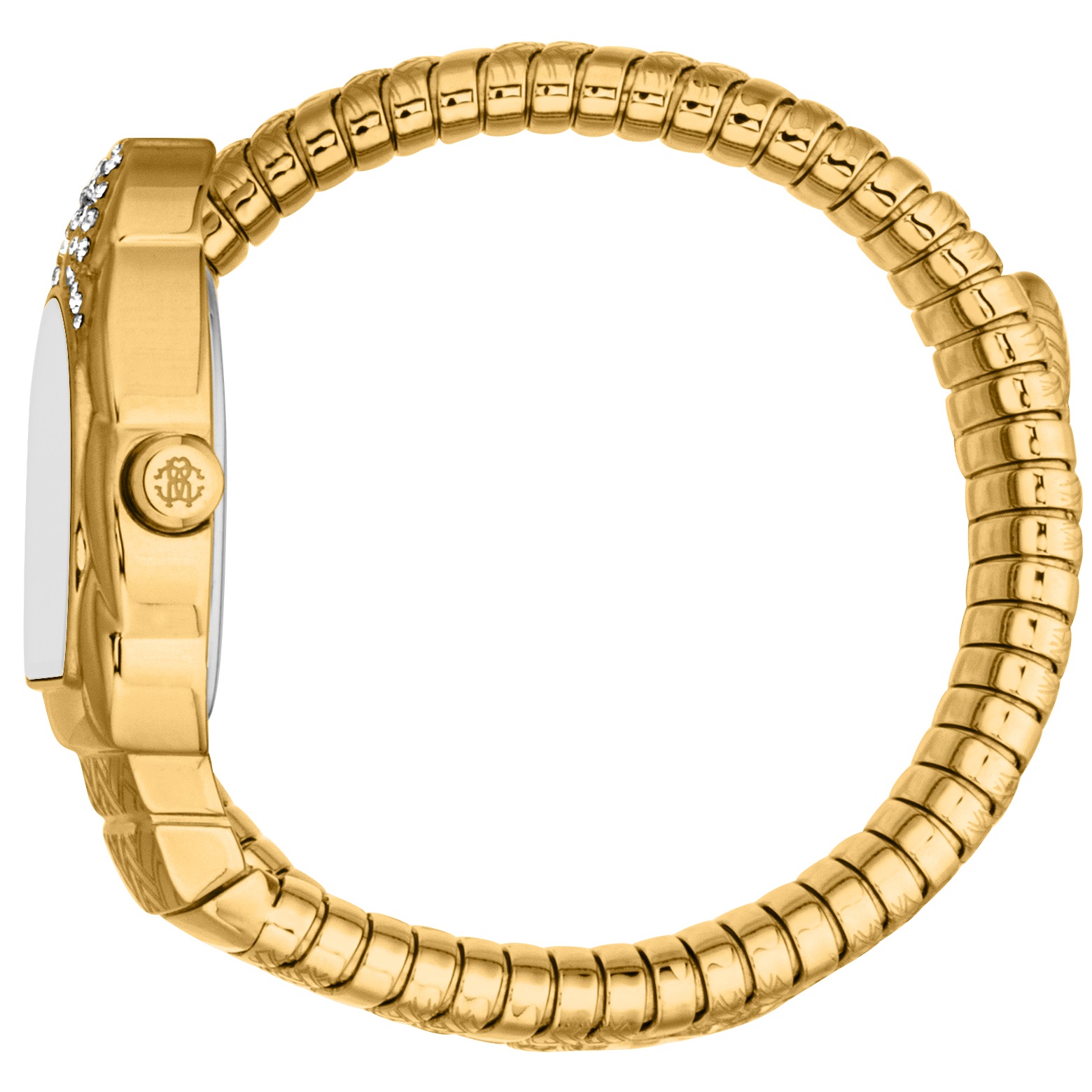 ROBERTO CAVALLI Snake Core Gold Dial 35mm Gold Stainless Steel Bracelet RC5L133M0035 - 