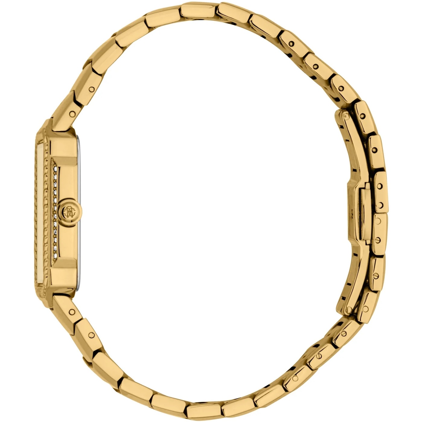 ROBERTO CAVALLI Gold Dial 23x33mm Gold Stainless Steel Bracelet RC5L140M0035 - 