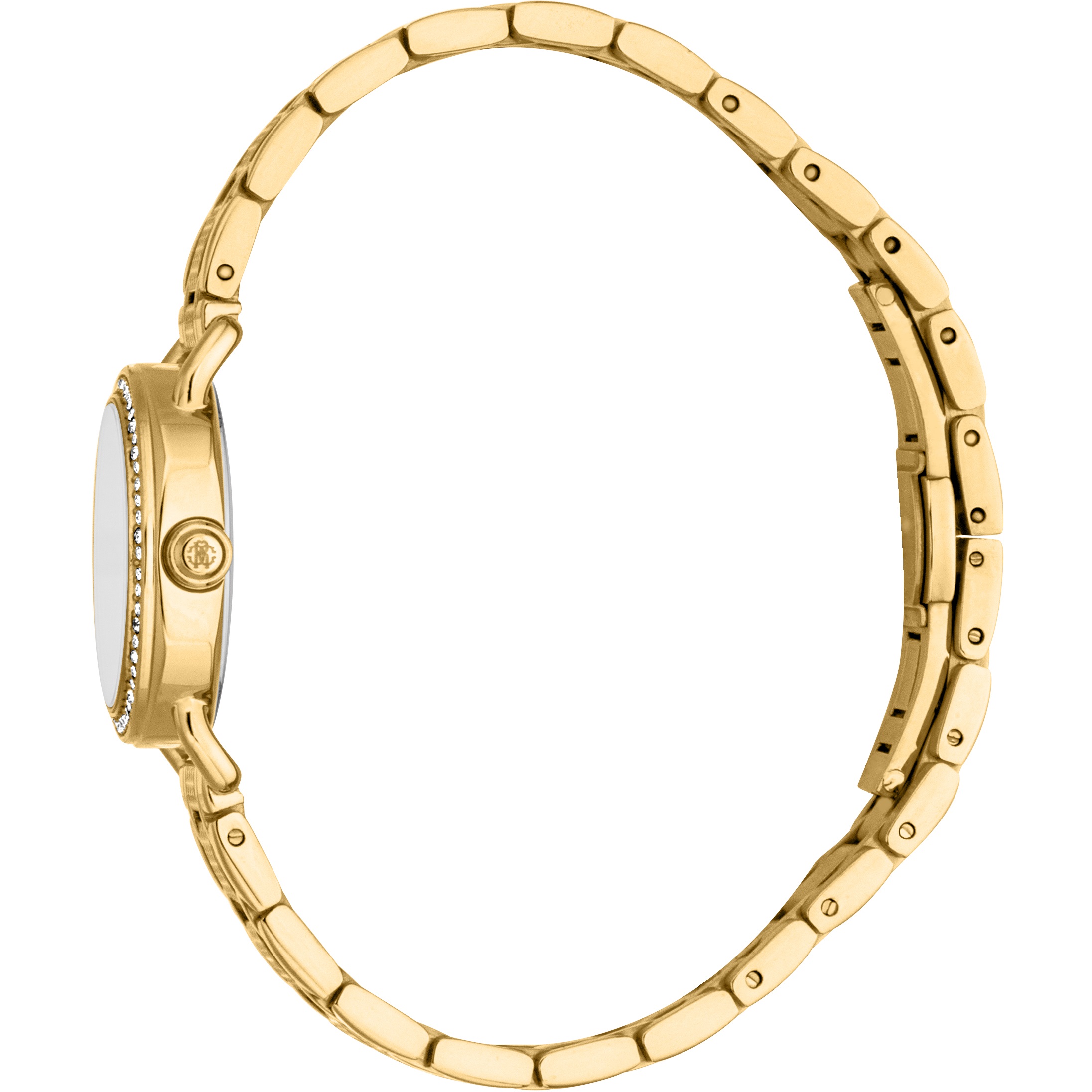 ROBERTO CAVALLI Mini Silver Dial 26mm Gold Stainless Steel Bracelet RC5L141M0055 - 