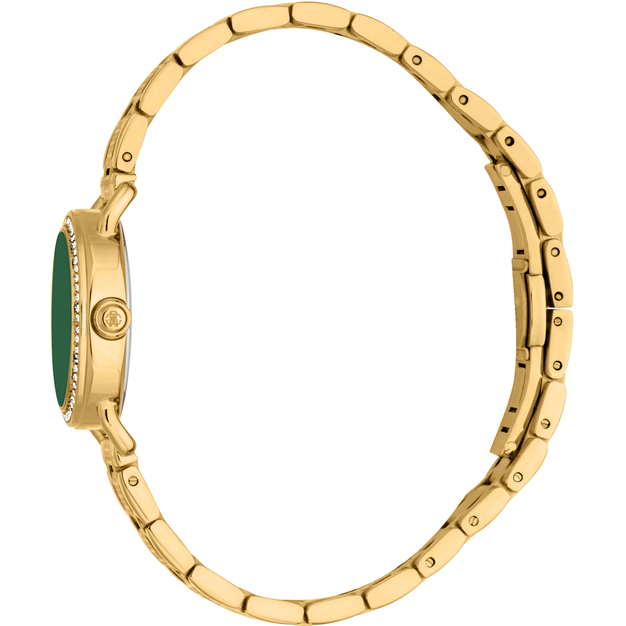 ROBERTO CAVALLI Mini Green Dial 26mm Gold Stainless Steel Bracelet RC5L141M0065 - 