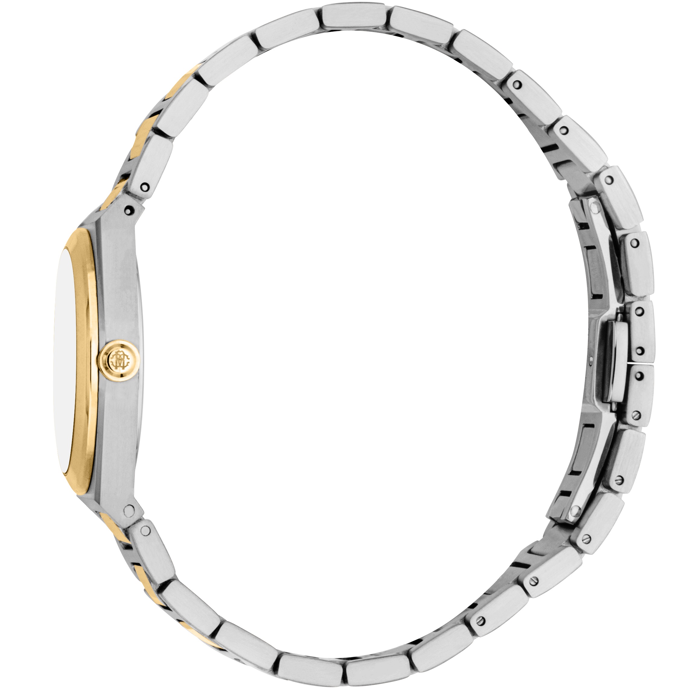ROBERTO CAVALLI Core Crystals Silver Dial 30mm Two Tone Gold Stainless Steel Bracelet RC5L145M0085 - 