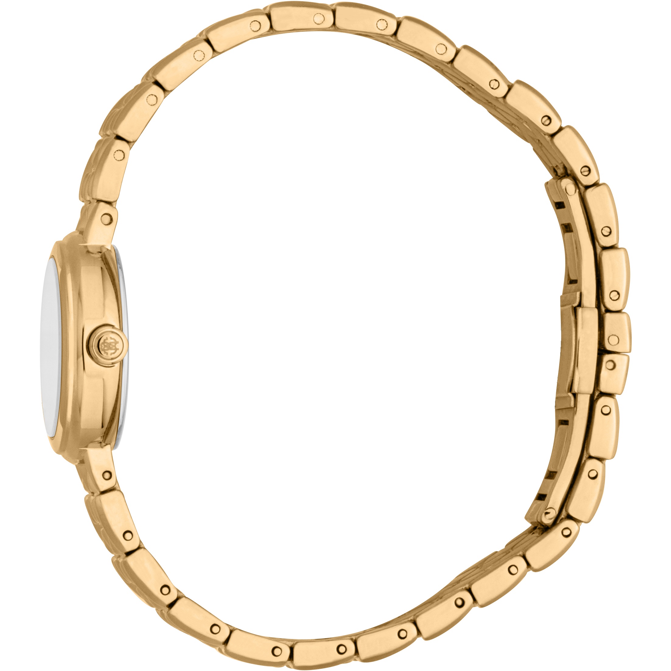 ROBERTO CAVALLI Snake Core White M.O.P. Dial 24mm Gold Stainless Steel Bracelet RC5L152M0035 - 