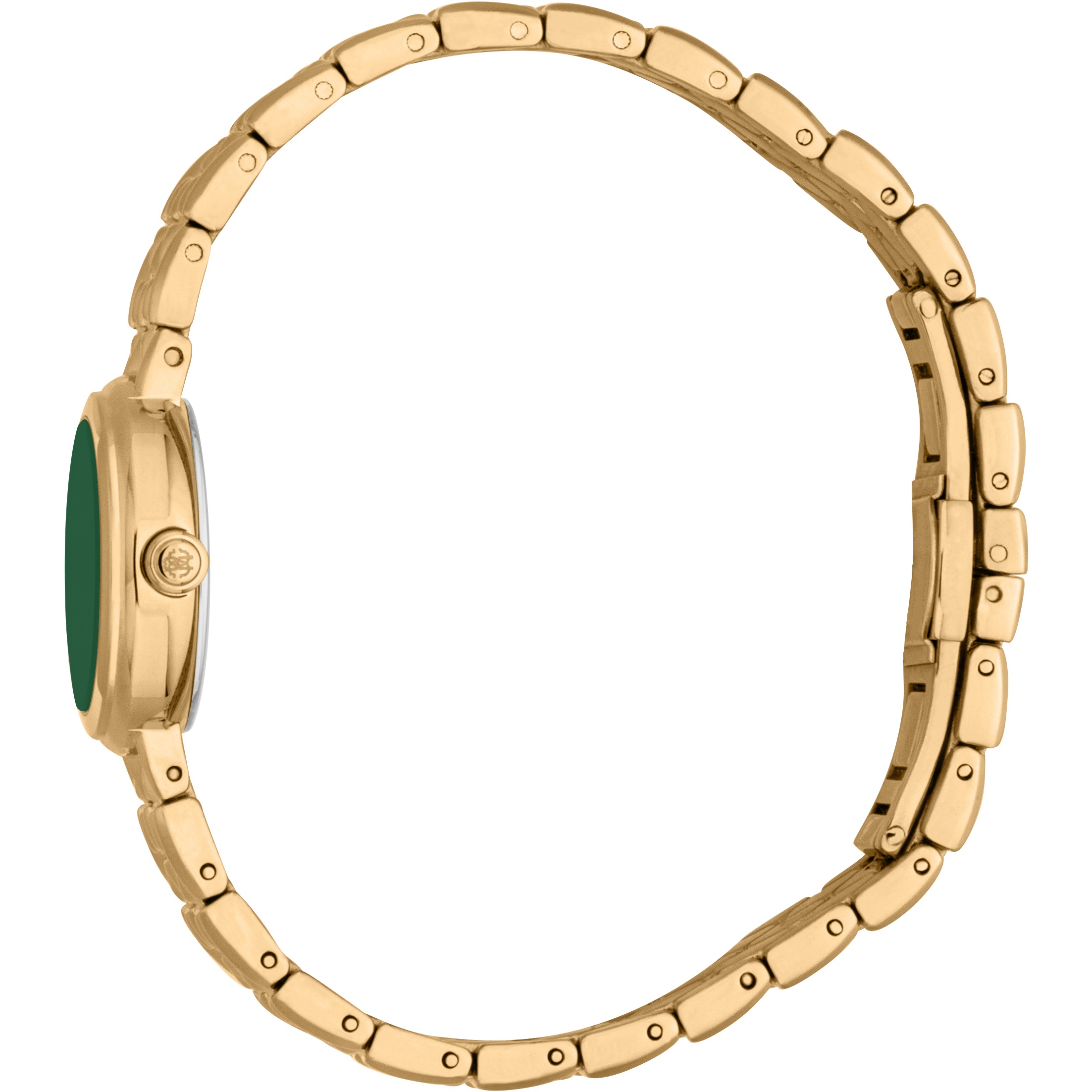 ROBERTO CAVALLI Green Dial 24mm Gold Stainless Steel Bracelet RC5L152M0045 - 