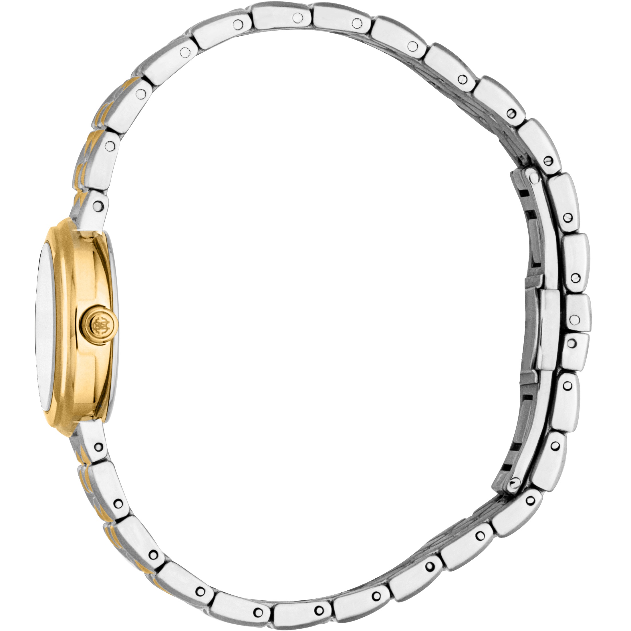 ROBERTO CAVALLI Silver Dial 24mm Duotone Gold Stainless Steel Bracelet RC5L152M0065 - 