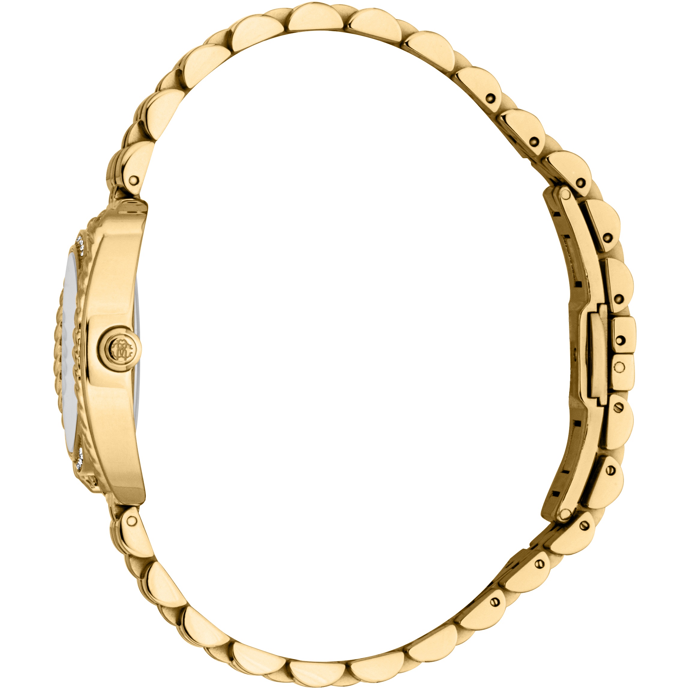 ROBERTO CAVALLI Glam Silver Dial 30mm Gold Stainless Steel Bracelet Gift Set RC5L153M0055 - 3