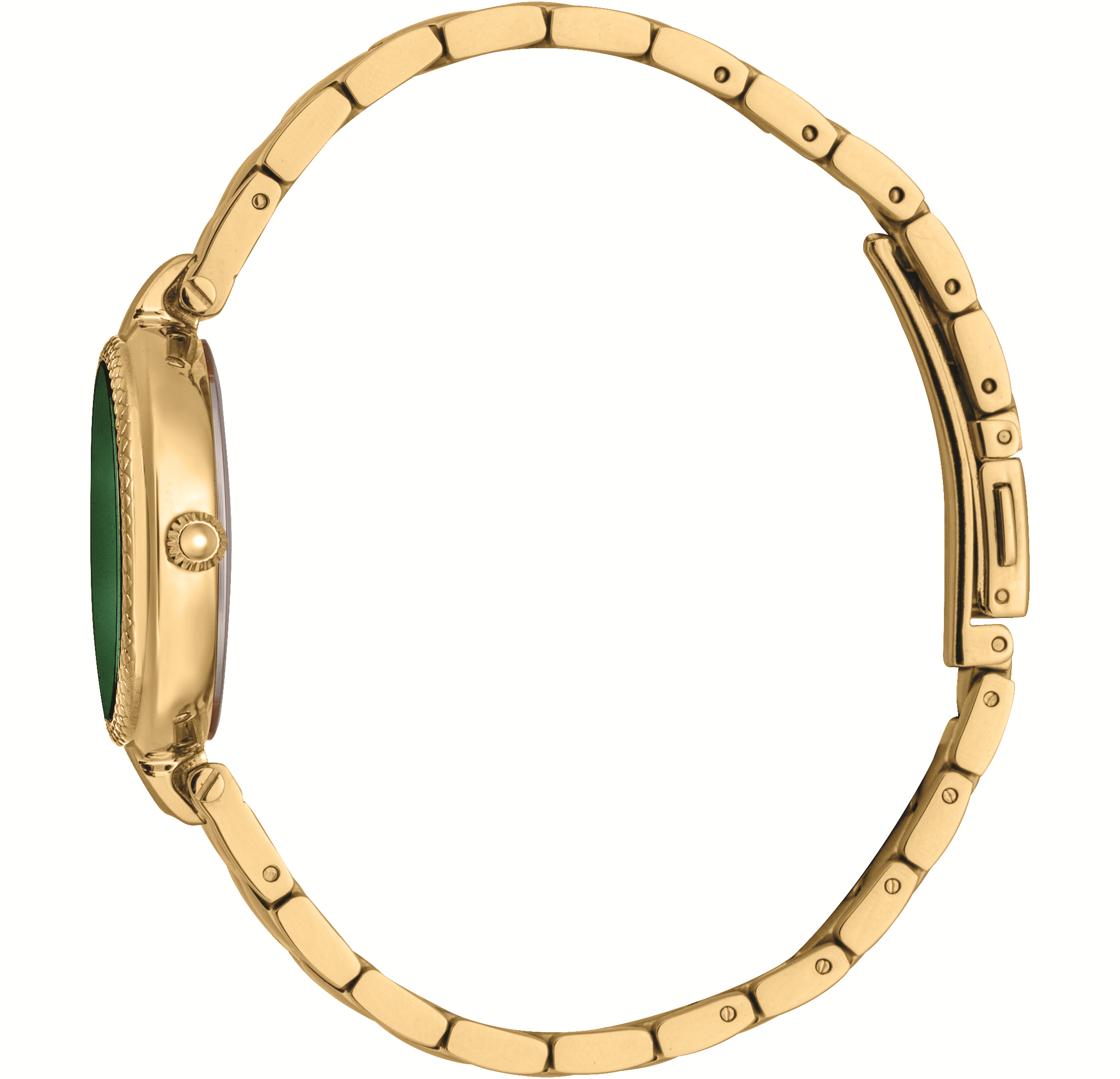 JUST CAVALLI Donna Leopardo Green Dial 30mm Gold Stainless Steel Bracelet JC1L254M0065 - 2