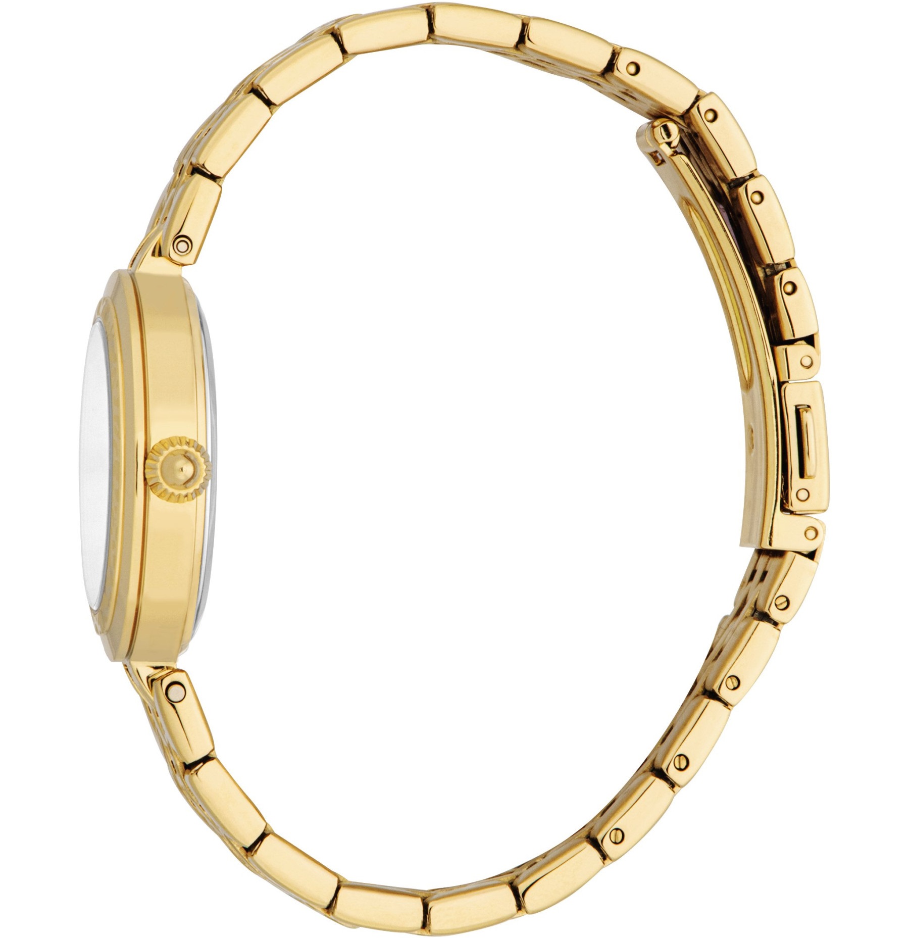 JUST CAVALLI Animalier Silver Dial 30mm Gold Stainless Steel Bracelet JC1L314M0055 - 