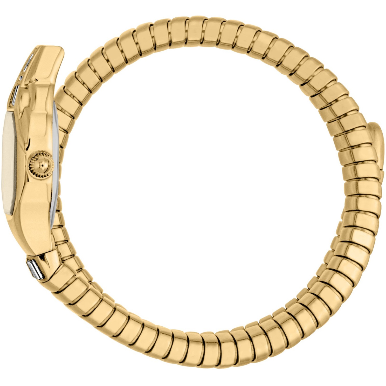 JUST CAVALLI Signature Snake Champagne Dial 20.5x29.5mm Gold Stainless Steel Bracelet JC1L326M0025 - 2
