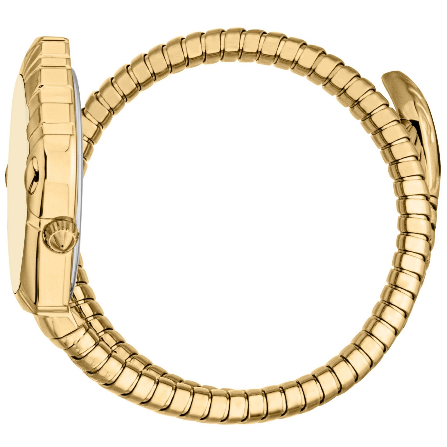 JUST CAVALLI Signature Snake Champagne Dial 22x35mm Gold Stainless Steel Bracelet JC1L357M0025 - 3