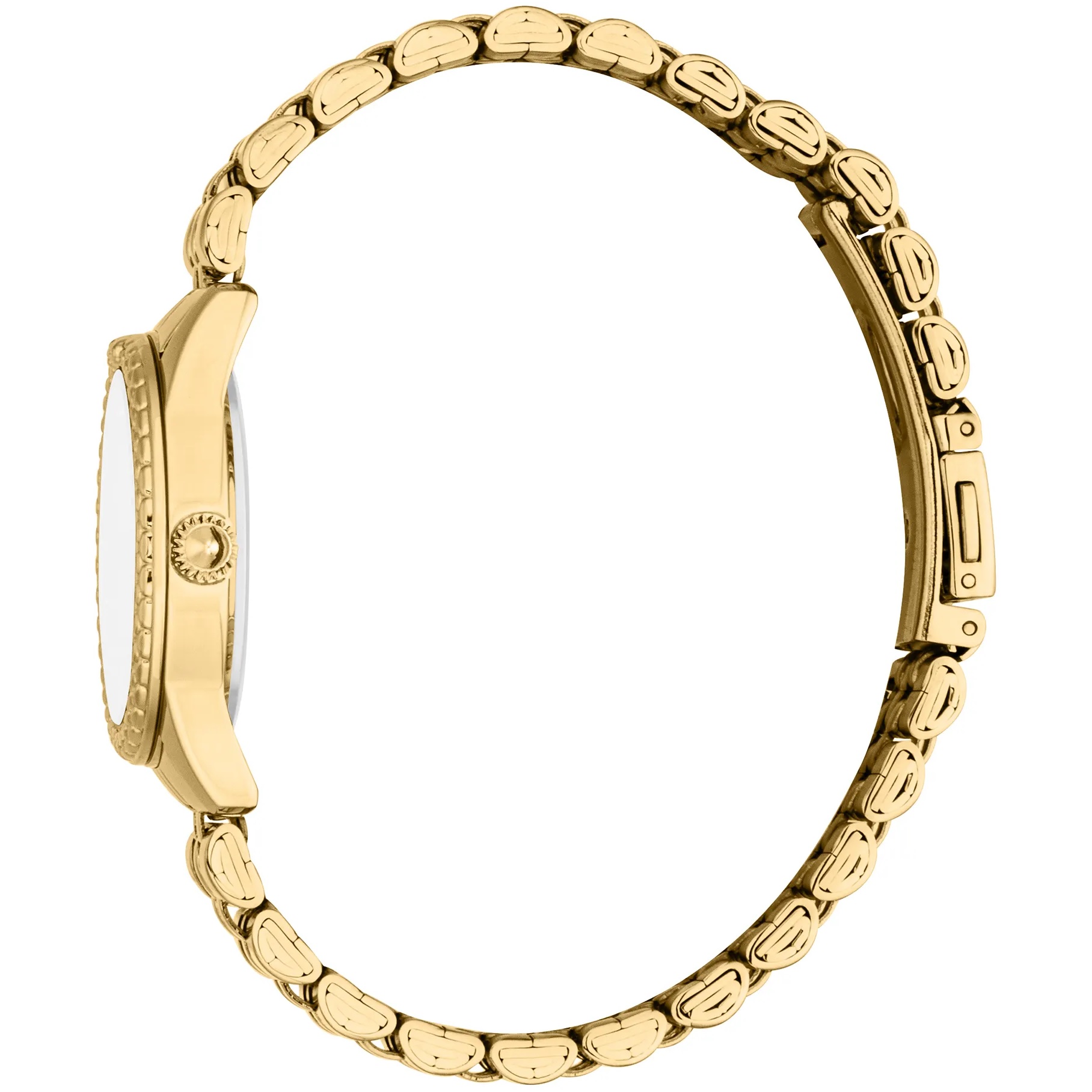 JUST CAVALLI Animalier Sublime Gift Set Silver Dial 30mm Gold Stainless Steel Bracelet JC1L360M0055 - 3