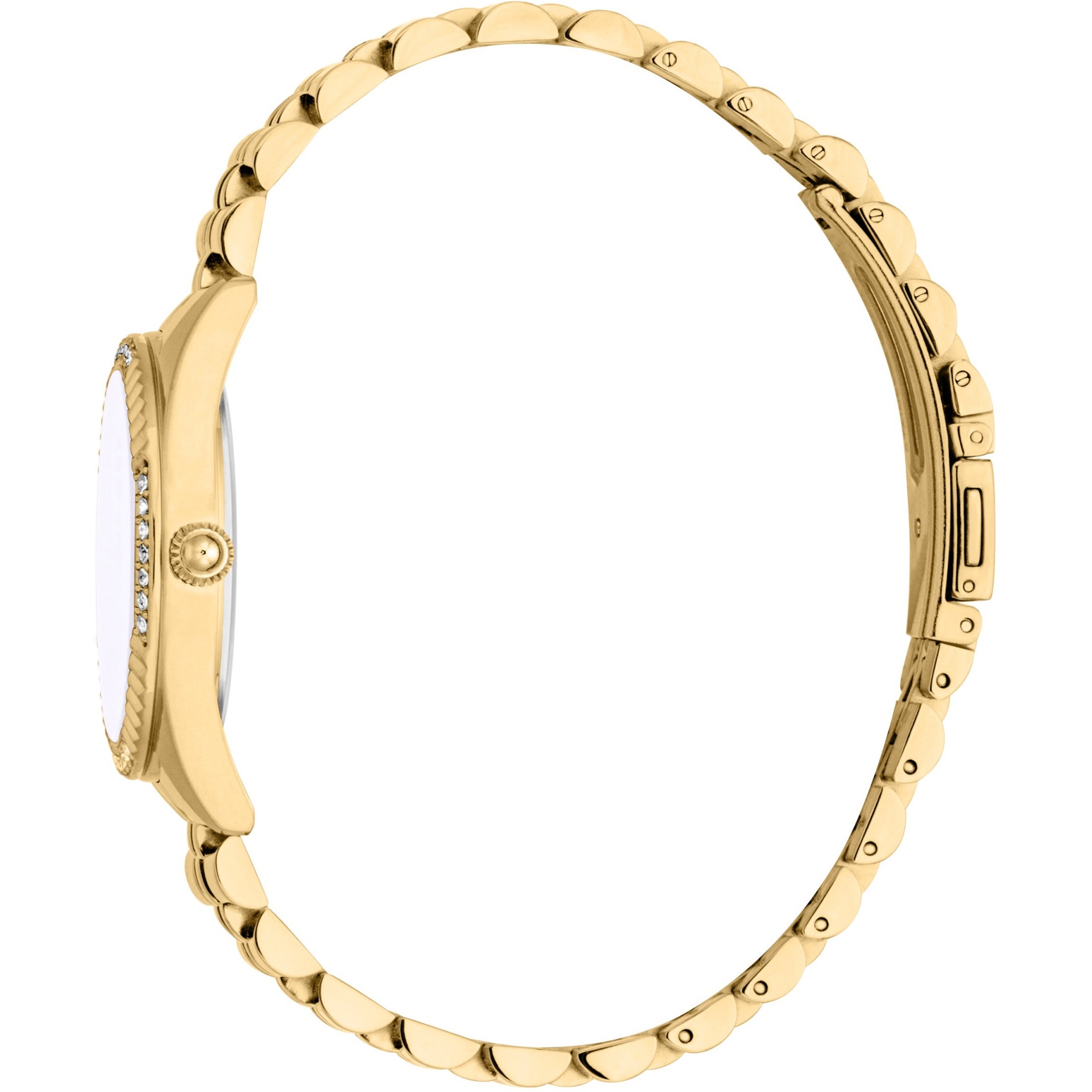 JUST CAVALLI Glam Gift Set White MOP Dial 32mm Gold Stainless Steel Bracelet JC1L361M0055 - 3